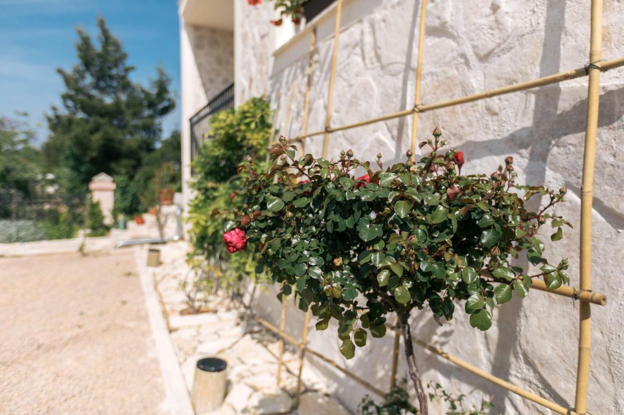 Hedon-Stone Διαμέρισμα Starigrad Paklenica Εξωτερικό φωτογραφία